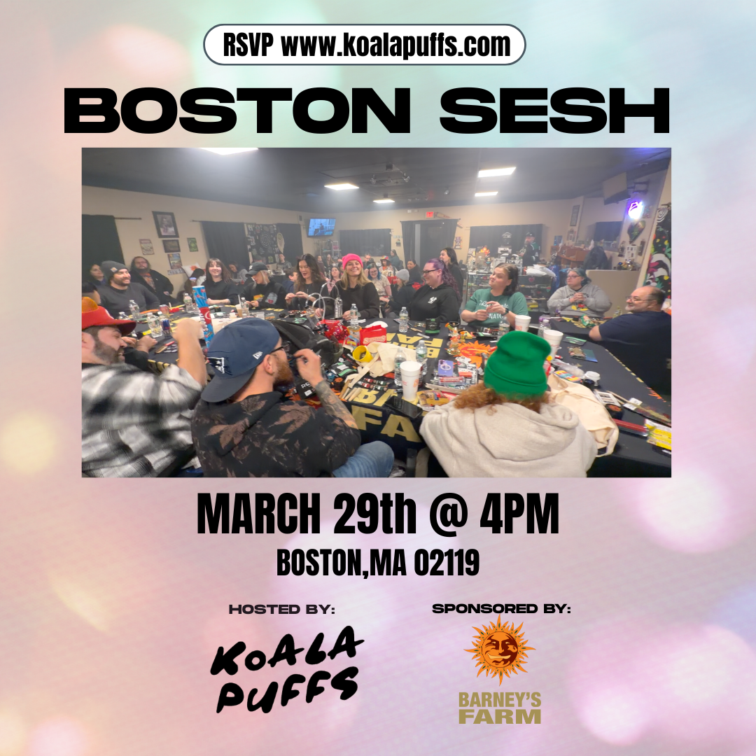 Barneys Farm & Koala Puffs Present: Boston Sesh 3/29/26